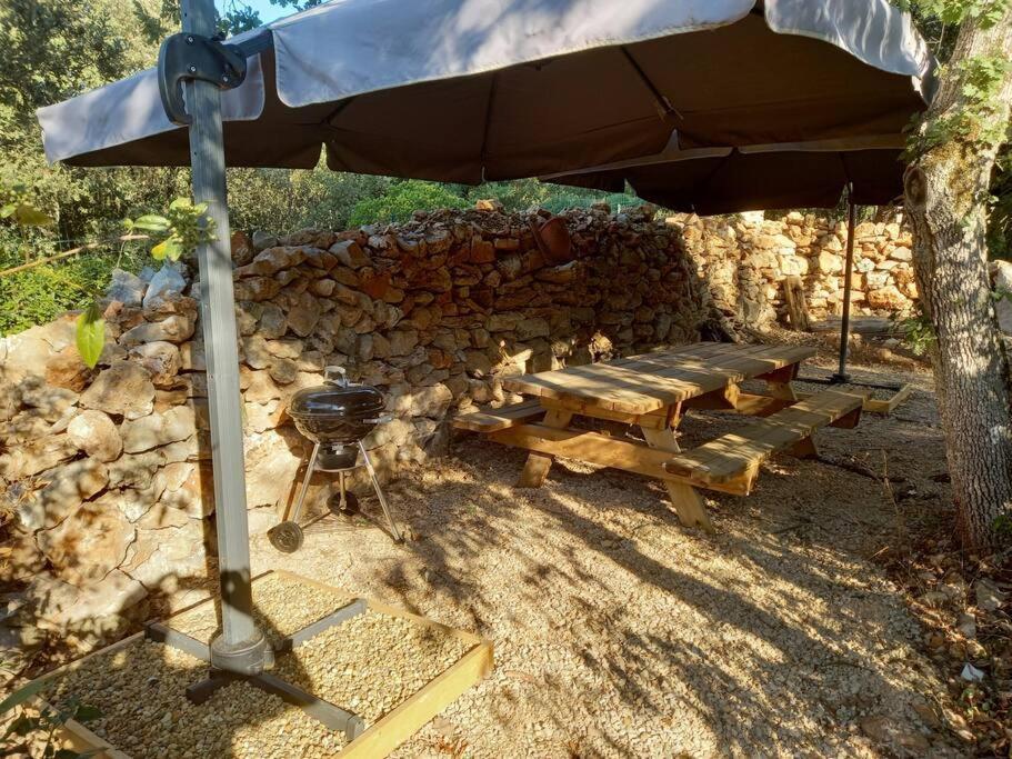 Villa La Treille سانت ماكسيمين-لا-سانت-بوم المظهر الخارجي الصورة